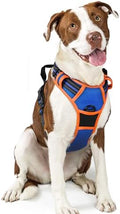 rabbitgoo Dog Harness, No Pull for Large Dogs by rabbitgoo