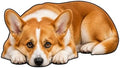 3D Realistic Dog Shaped Bath Mat & Floor Rug by MOFABIA