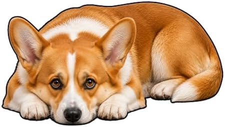3D Realistic Dog Shaped Bath Mat & Floor Rug by MOFABIA
