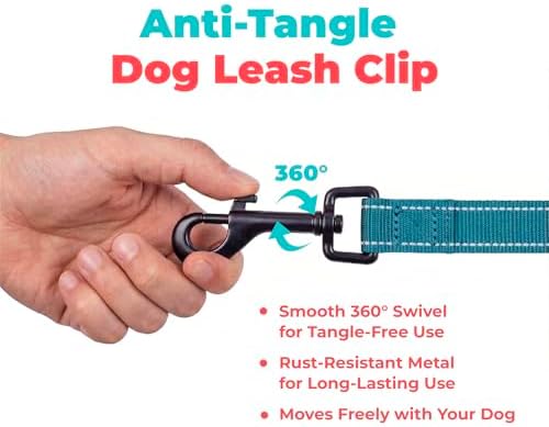 Best Pet Supplies Voyager Nylon Dog Leash - 6ft Turqioise - Image 7