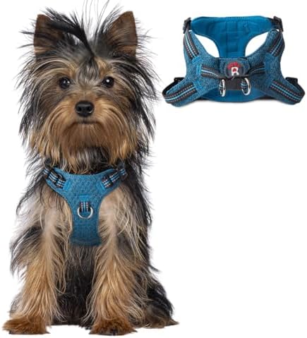 BARKBAY Small Dog Harness, No Pull Puppy Harness, Step-in Dog Vest by BARKBAY