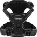 BARKBAY Dog Harness for Small Sized Dog No Pull 2 Leash Clips Dog Vest by BARKBAY