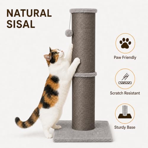PAWSCRAT 32-Inch Tall Cat Scratching Post, 5.5-Inch Diameter - Image 3