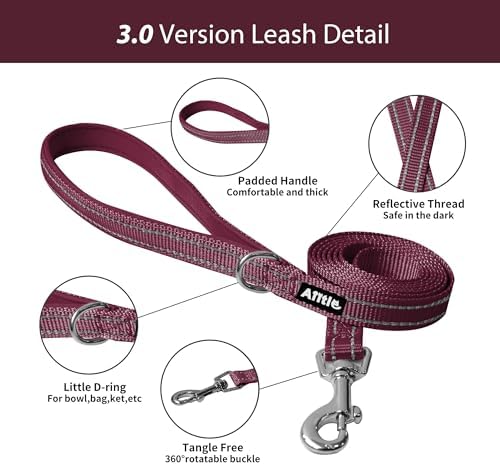 AIITLE Dog Harness and Leash Set, Step-in Puppy Pet Vest, Burgundy XXS - Image 5