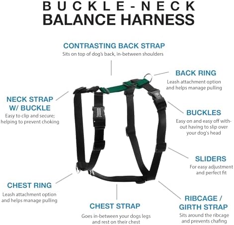 Blue-9 Balance Harness® for Dogs, Buckle-Neck, Hunter Green - Image 2