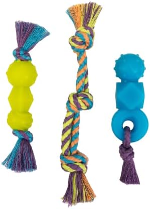 Mini Dentachew Dental Dog Chew Toys by Pupstages