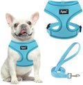 PUPTECK Small Dog Harness and Leash Set No Pull by PUPTECK