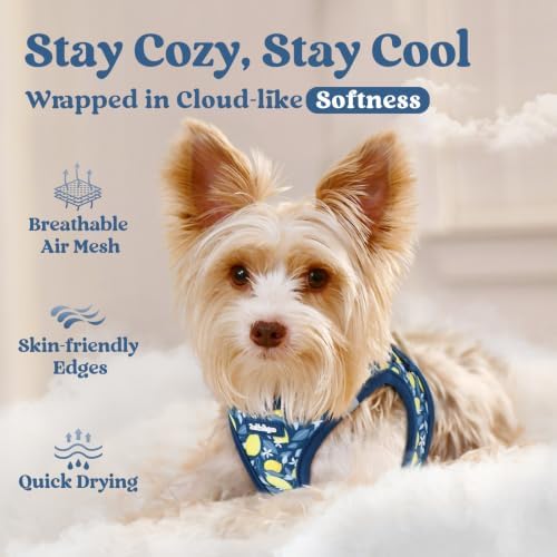 rabbitgoo Step-in Small Dog Harness, Puppy Vest - Image 3
