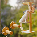 Cat Window Perch and Cat Wall Shelves 2 in 1 Cat Scratching Activity Tree Wall by Canormpet