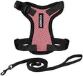 Voyager Step-in Lock Cat Harness & Leash Set by BestPetSuppliesLLC