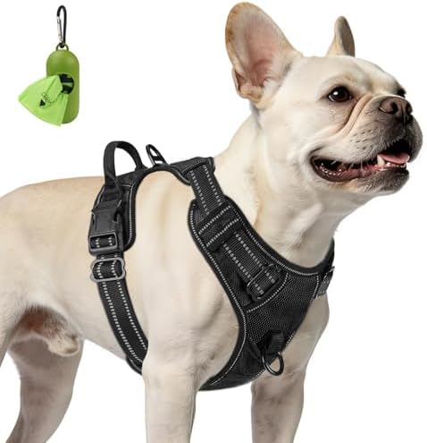 Joytale No Pull Dog Harness for Small Dogs, Front Clip by Joytale