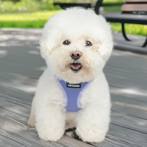 Best Pet Supplies - Image 7