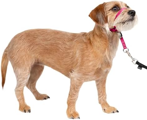 PetSafe Gentle Leader No Pull Dog Headcollar, Raspberry Pink by PetSafe
