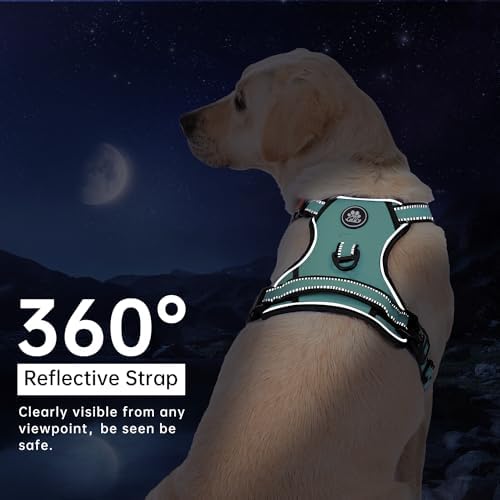 IVY&LANE No Pull Dog Harness for Small Dogs, Reflective Dog Vest Harness - Image 6