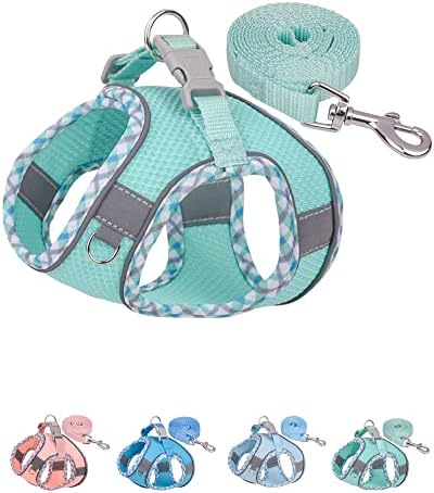 Petank Step in Dog Harness No Pull and Leash by PetankCareforEveryPaw