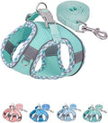 Petank Step in Dog Harness No Pull and Leash by PetankCareforEveryPaw