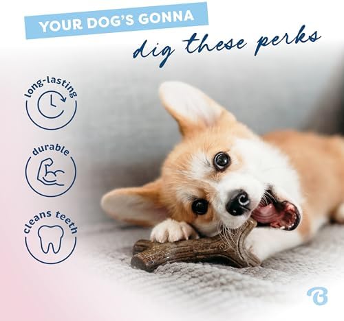 Benebone Puppy Maplestick Dog Chew Toy, Real Maple Wood - Image 3