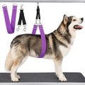 Pet Dog Grooming Belly Strap – 2 Inch Wide Waterproof Strong PVC Support Band by DISCPETSEC