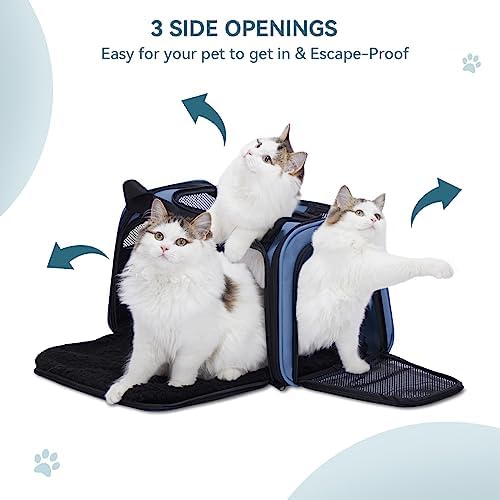 PETSFIT Pet Carrier, Small and Medium Cats, Puppies Up to 12 Lbs - Image 6