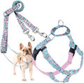 2 Hounds Design by 2HoundsDesign