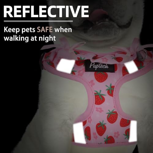 PUPTECK Dog Harness and Leash Set Medium Sized, Step in No Pull Adjustable - Image 4
