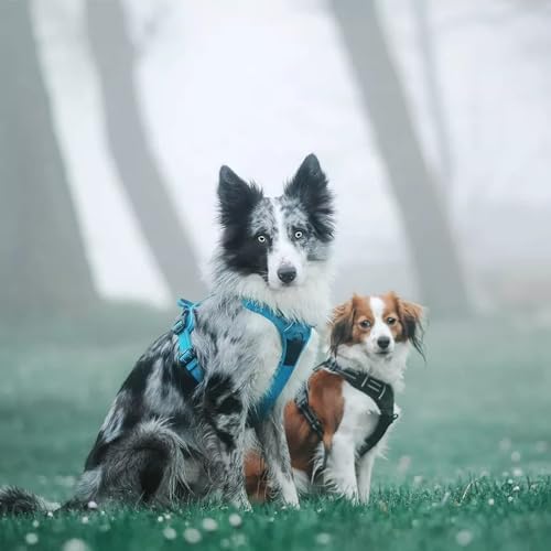 TRUE LOVE Adjustable No-Pull Dog Harness Reflective Vest - Image 6