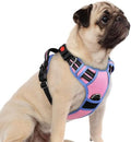 rabbitgoo Dog Harness Small Sized, No Pull 3 Buckles Easy On & Off by rabbitgoo