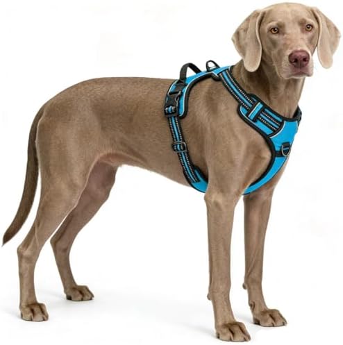 Blue No-Pull Dog Harness with 2 Leash Clips，Soft Padded Vest by Unknown