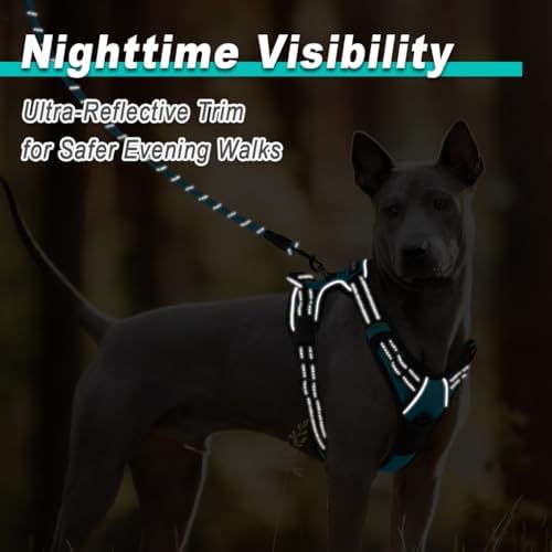BARKBAY Dog Harness for Medium Sized Dog No Pull 2 Leash Clips Dog Vest - Image 5