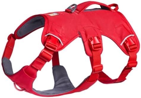 Ruffwear, Web Master Dog Body Harness, Large/X-Large by RuffwearInc