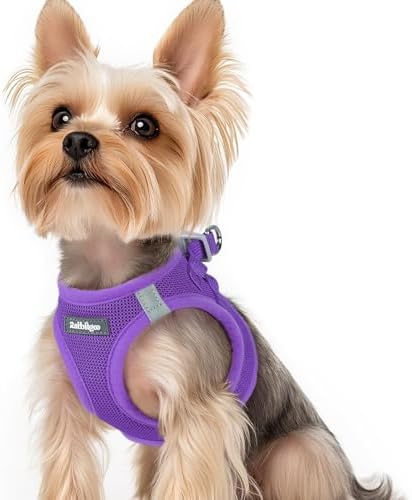 rabbitgoo Step-in Small Dog Harness, Puppy Vest by rabbitgoo