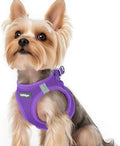 rabbitgoo Step-in Small Dog Harness, Puppy Vest by rabbitgoo