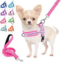 Lukovee Small Dog Harness and Leash Set, No Pull Soft Padded Vest by Lukovee