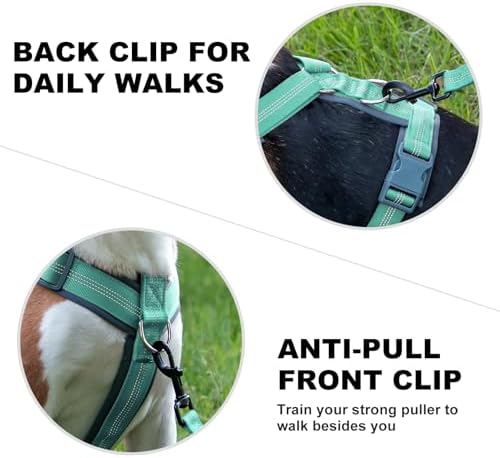 Plutus Pet No Pull Dog Harness, Adjustable Nylon Harness - Image 4
