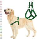 PUPTECK No Pull Dog Harness Medium Sized Step-in Adjustable Puppy Vest by PUPTECK