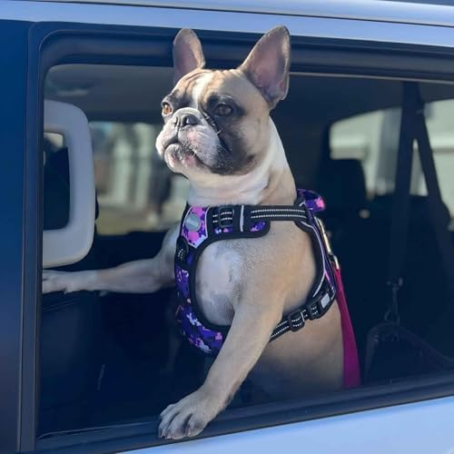 AUROTH Dog Harness for Small Medium Dogs, Tactical No Pull Dog Vest - Image 6
