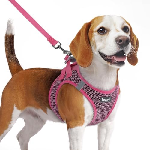 Eagloo Small Dog Harness and Leash Set, Step in Medium Small Puppy Pet Vest by GoExplorewithEagloo