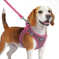 Eagloo Small Dog Harness and Leash Set, Step in Medium Small Puppy Pet Vest by GoExplorewithEagloo