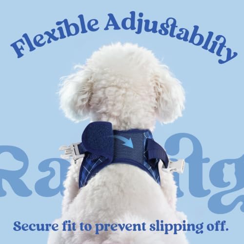 rabbitgoo Dog Harness Small Sized and Leash Set, Step in Soft Vest - Image 6