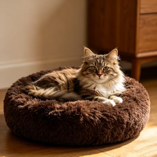 Cat Beds for Indoor Cats - Image 3