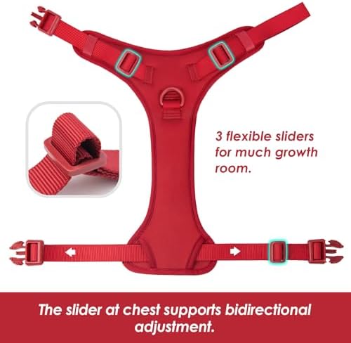 Sunraymascota No Pull Dog Harness - Image 5