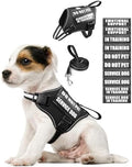 Service Dog Vest Harness and Leash Set+10 Patches by MOOGROUPETSFRIEND