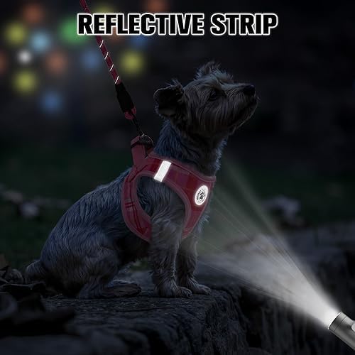 BEAUTYZOO Small Dog Harness and Leash Set, Step in No Choke No Pull Soft Mesh - Image 4