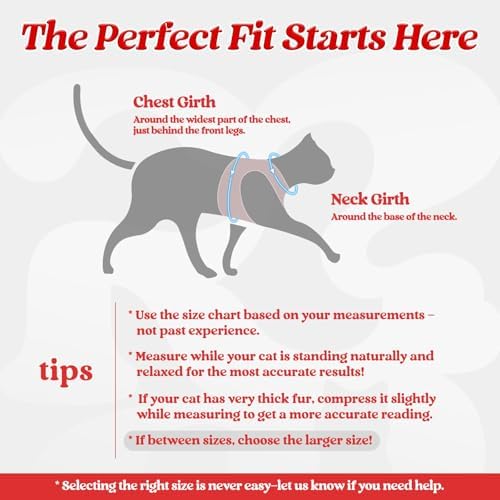 rabbitgoo Cat Harness and Leash Set, Step-in Soft Vest - Image 2