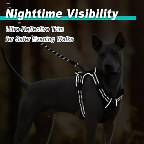 BARKBAY Dog Harness for Large Dog No Pull 2 Leash Clips Dog Vest - Image 5