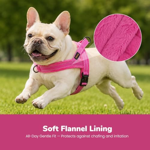 Didog No Pull Dog Harness for Small Dogs, Soft Flannel Padded, Hot Pink - Image 2
