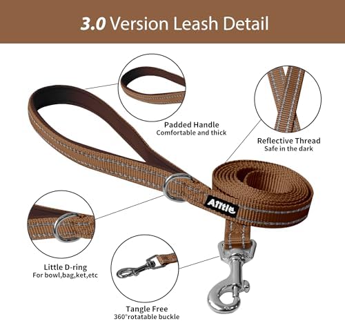 AIITLE Small Dog Harness and Leash Set, Step-in Puppy Pet Vest - Image 6