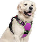 rabbitgoo Dog Harness for Large, No Pull 3 Buckles Easy On & Off by rabbitgoo