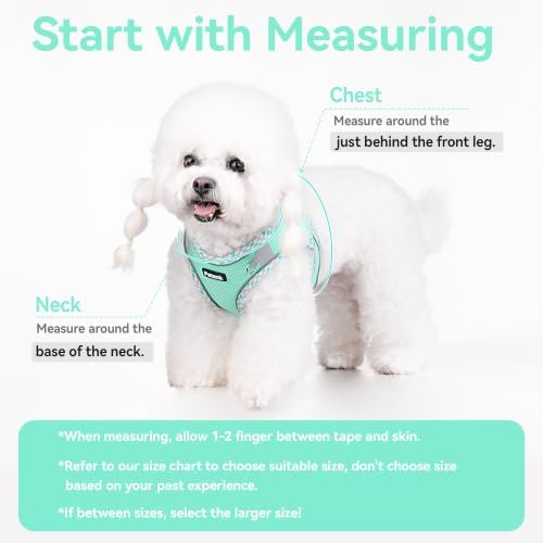 Petank Step in Dog Harness No Pull and Leash - Image 4