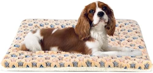 Mora Pets Dog Crate Pad Bed Ultra Soft Pet Mat Star Print Brown 23 x18 Inch by MoraPets